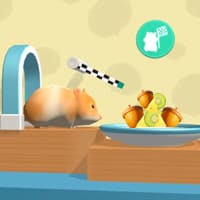 Hamster Maze Online